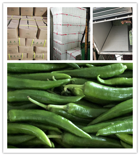 XPJ(中国大陆)有限公司官网