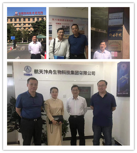 XPJ(中国大陆)有限公司官网