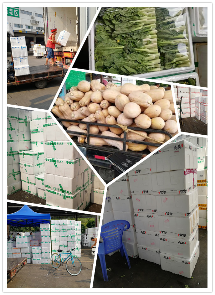 XPJ(中国大陆)有限公司官网