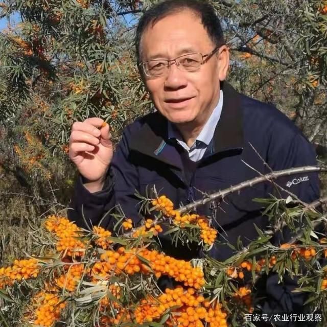 XPJ(中国大陆)有限公司官网