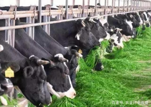 XPJ(中国大陆)有限公司官网