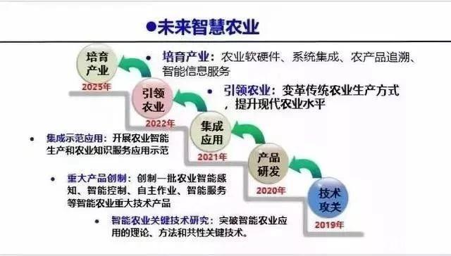 XPJ(中国大陆)有限公司官网