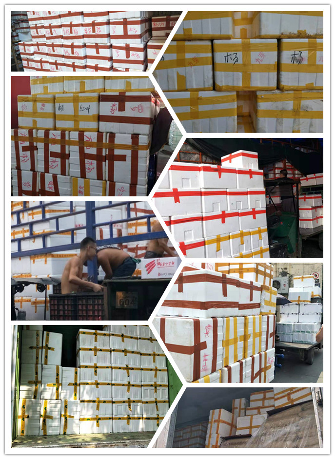 XPJ(中国大陆)有限公司官网