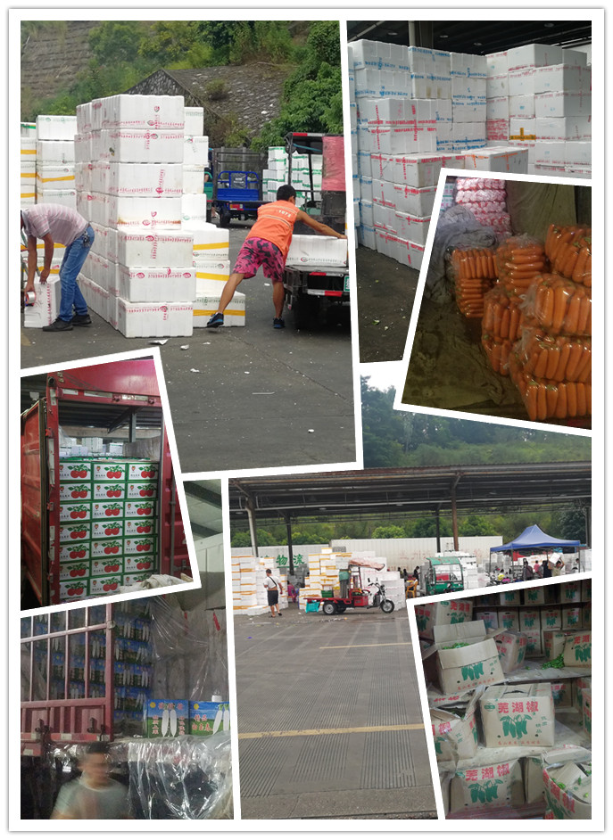 XPJ(中国大陆)有限公司官网