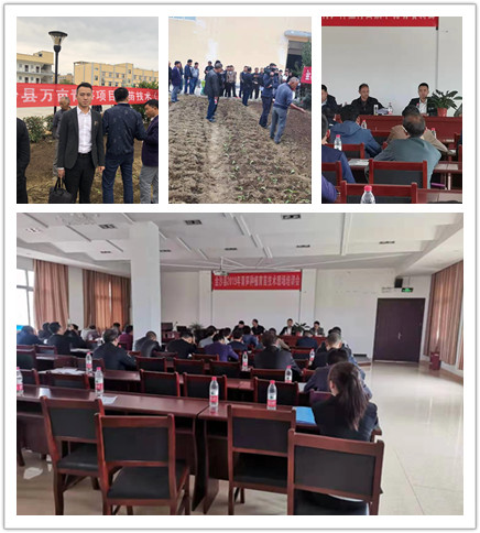 XPJ(中国大陆)有限公司官网