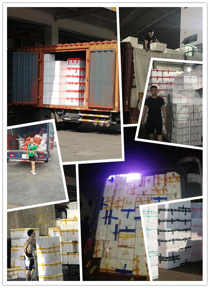 XPJ(中国大陆)有限公司官网