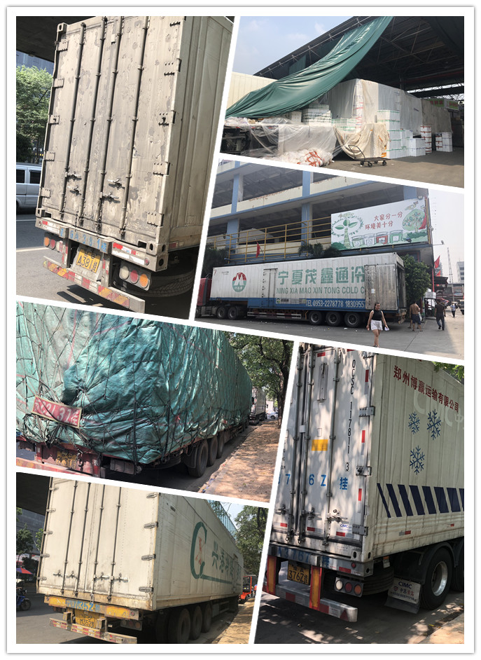 XPJ(中国大陆)有限公司官网