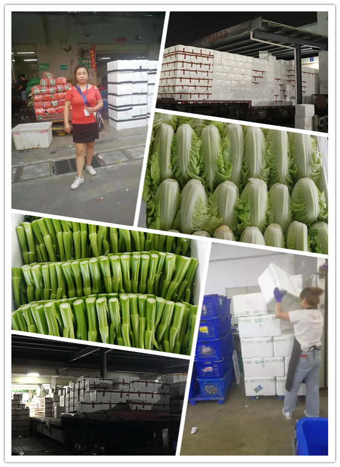 XPJ(中国大陆)有限公司官网