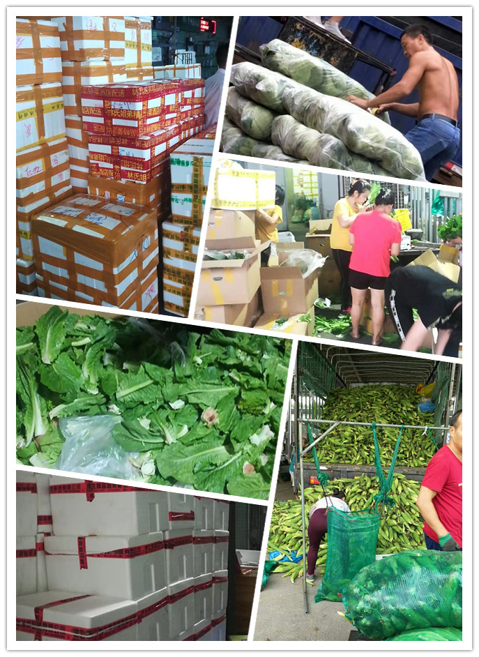 XPJ(中国大陆)有限公司官网