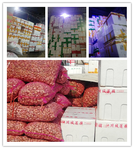 XPJ(中国大陆)有限公司官网