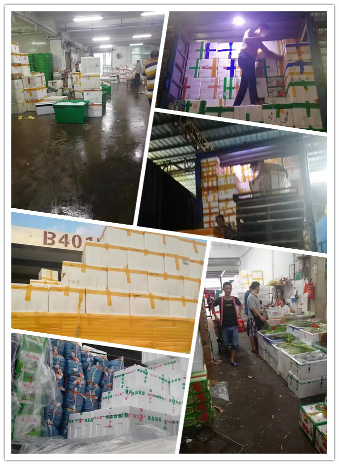 XPJ(中国大陆)有限公司官网