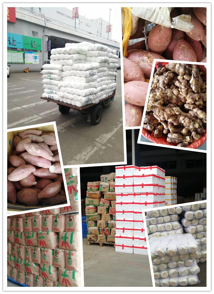 XPJ(中国大陆)有限公司官网