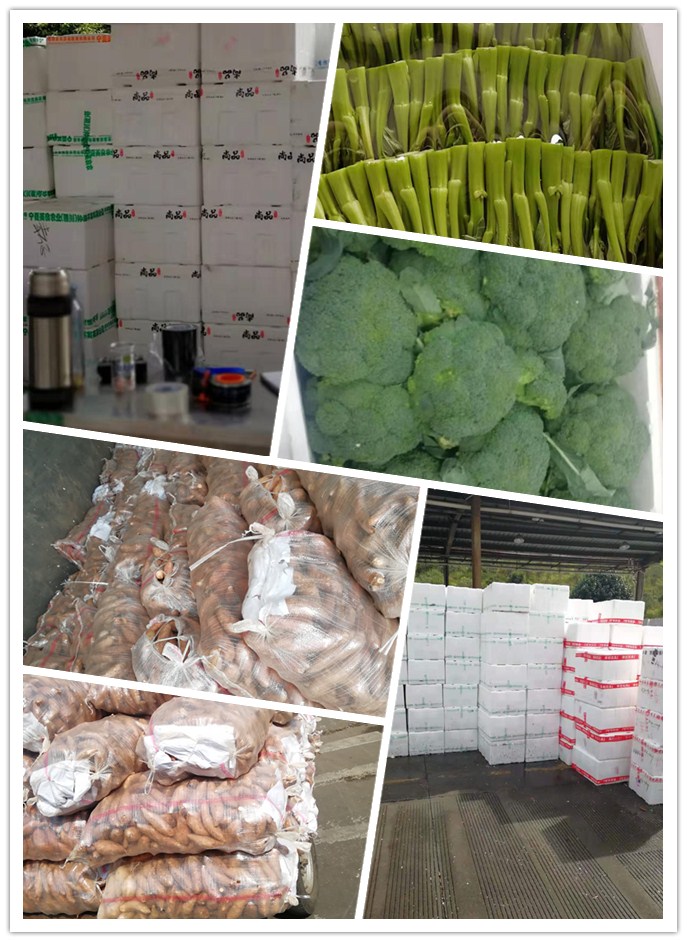 XPJ(中国大陆)有限公司官网