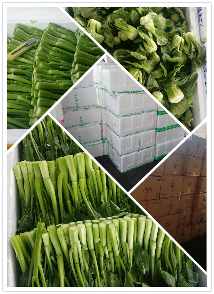 XPJ(中国大陆)有限公司官网