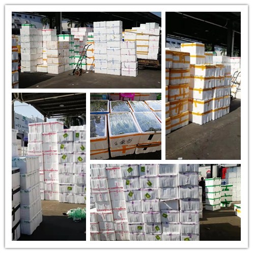 XPJ(中国大陆)有限公司官网