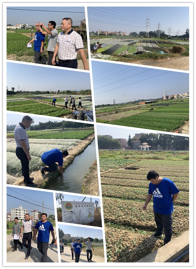 XPJ(中国大陆)有限公司官网