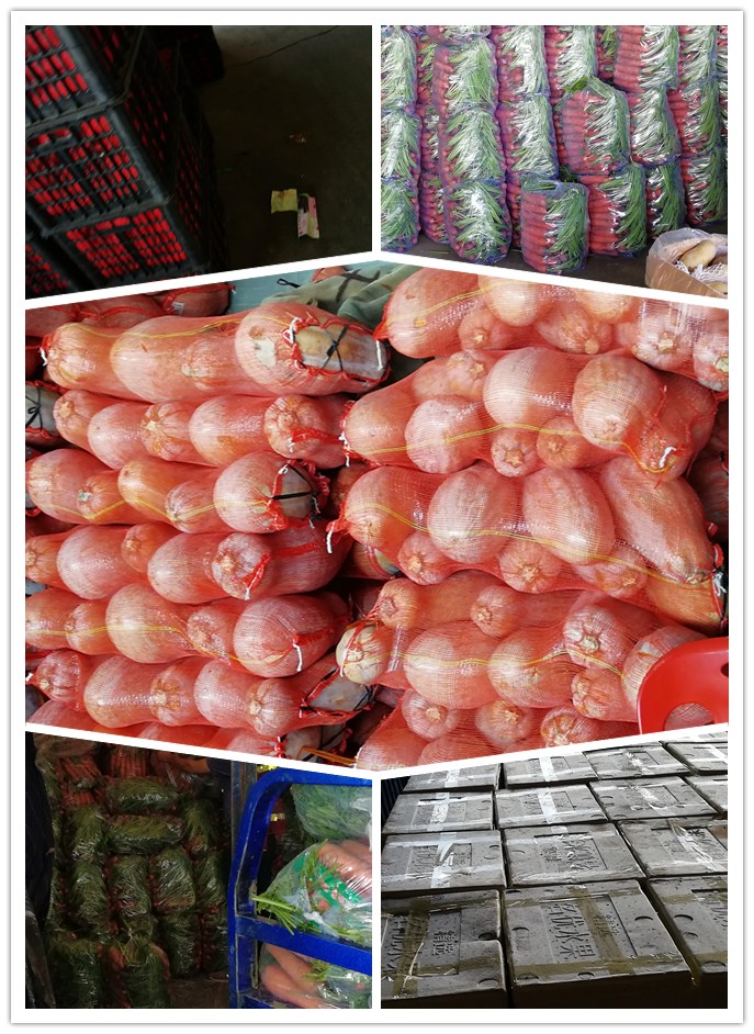 XPJ(中国大陆)有限公司官网