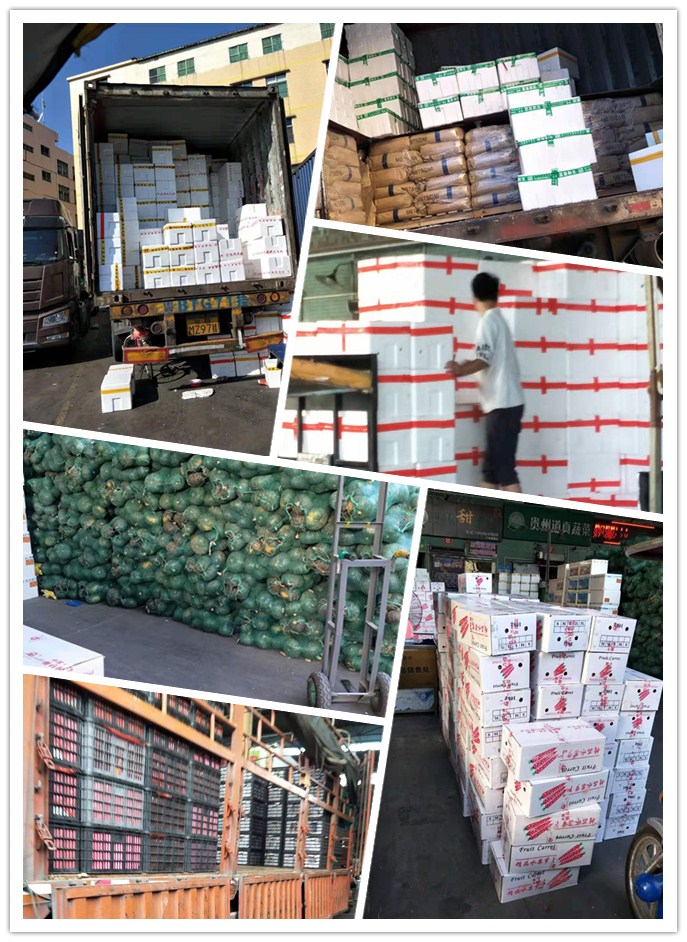 XPJ(中国大陆)有限公司官网