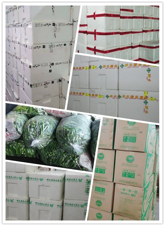 XPJ(中国大陆)有限公司官网