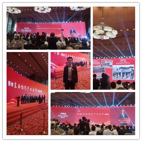 XPJ(中国大陆)有限公司官网