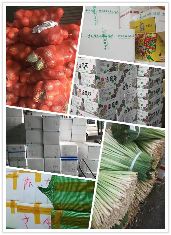 XPJ(中国大陆)有限公司官网