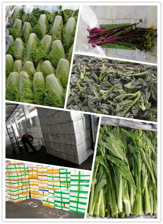 XPJ(中国大陆)有限公司官网