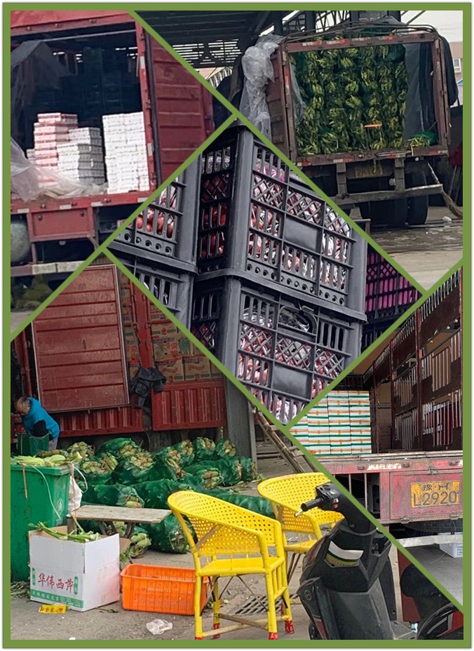 XPJ(中国大陆)有限公司官网