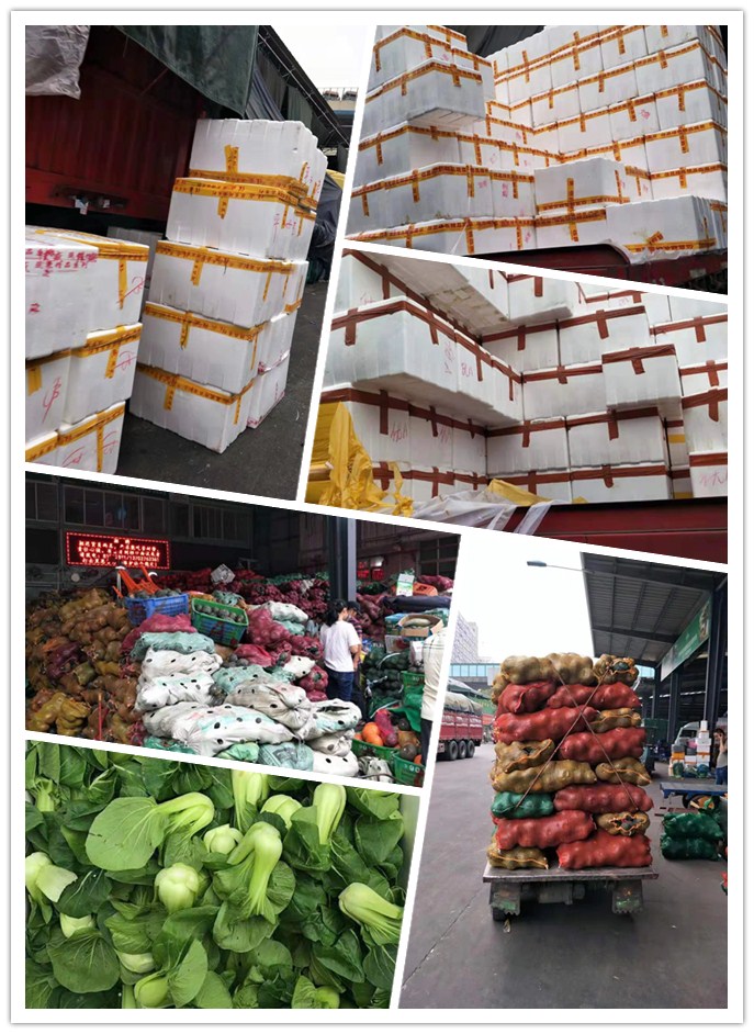 XPJ(中国大陆)有限公司官网