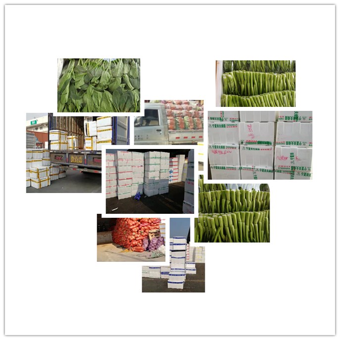 XPJ(中国大陆)有限公司官网