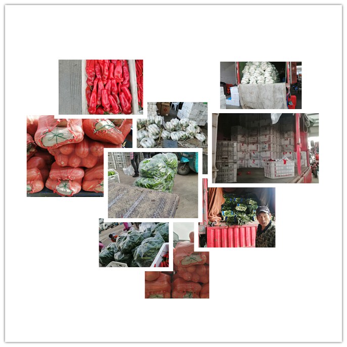 XPJ(中国大陆)有限公司官网