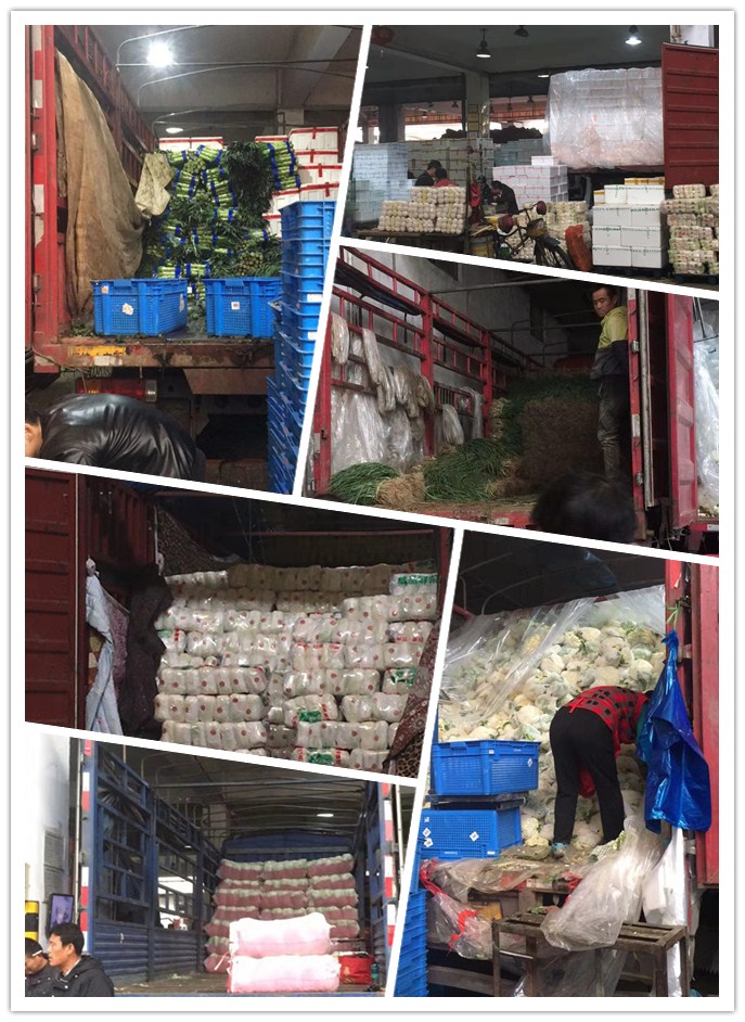 XPJ(中国大陆)有限公司官网