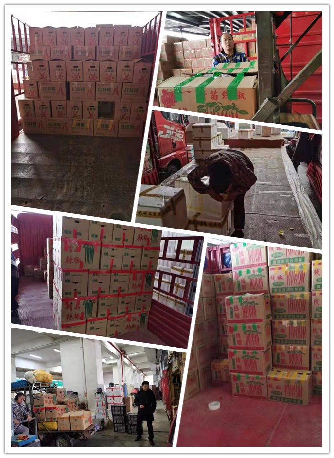 XPJ(中国大陆)有限公司官网