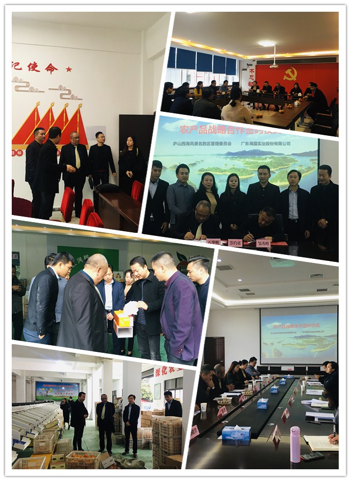 XPJ(中国大陆)有限公司官网