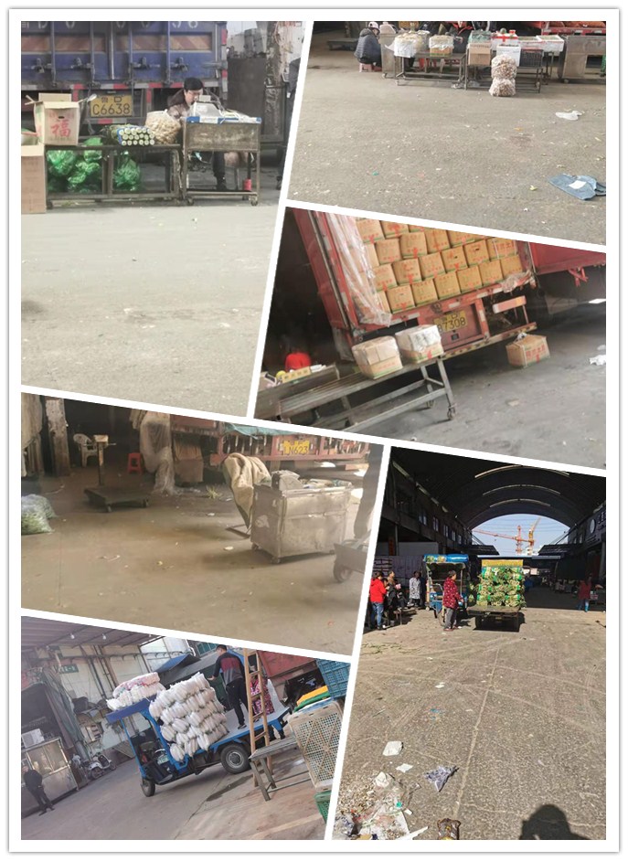 XPJ(中国大陆)有限公司官网