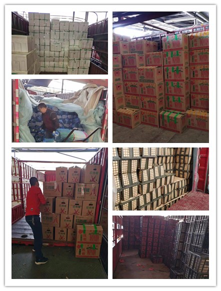 XPJ(中国大陆)有限公司官网