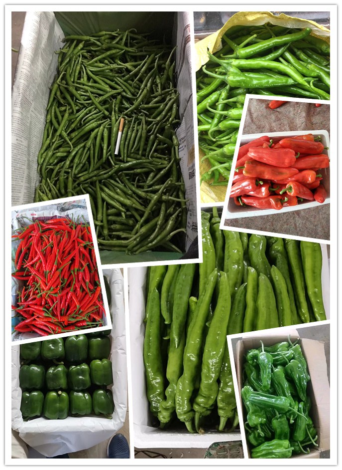 XPJ(中国大陆)有限公司官网