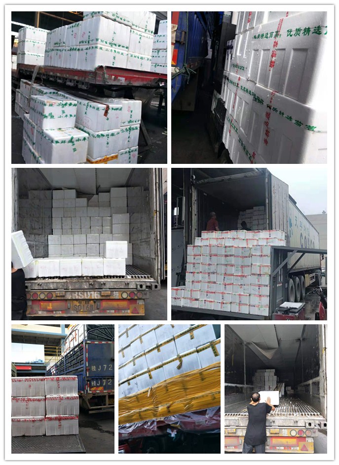 XPJ(中国大陆)有限公司官网