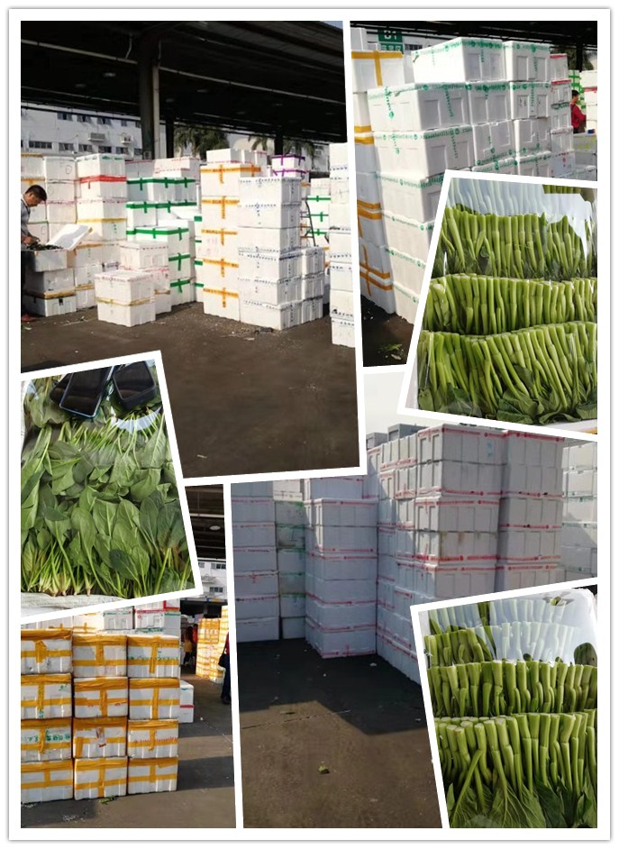 XPJ(中国大陆)有限公司官网