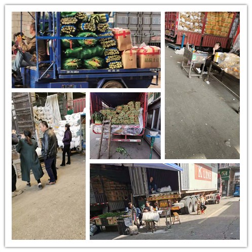 XPJ(中国大陆)有限公司官网