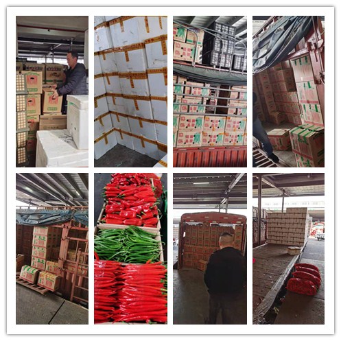 XPJ(中国大陆)有限公司官网