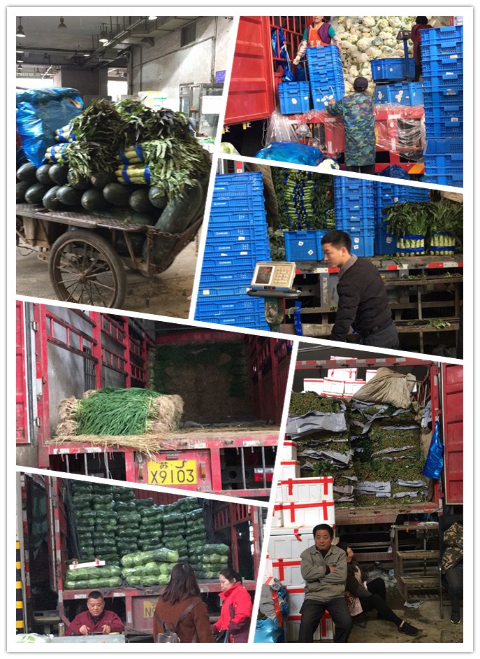 XPJ(中国大陆)有限公司官网