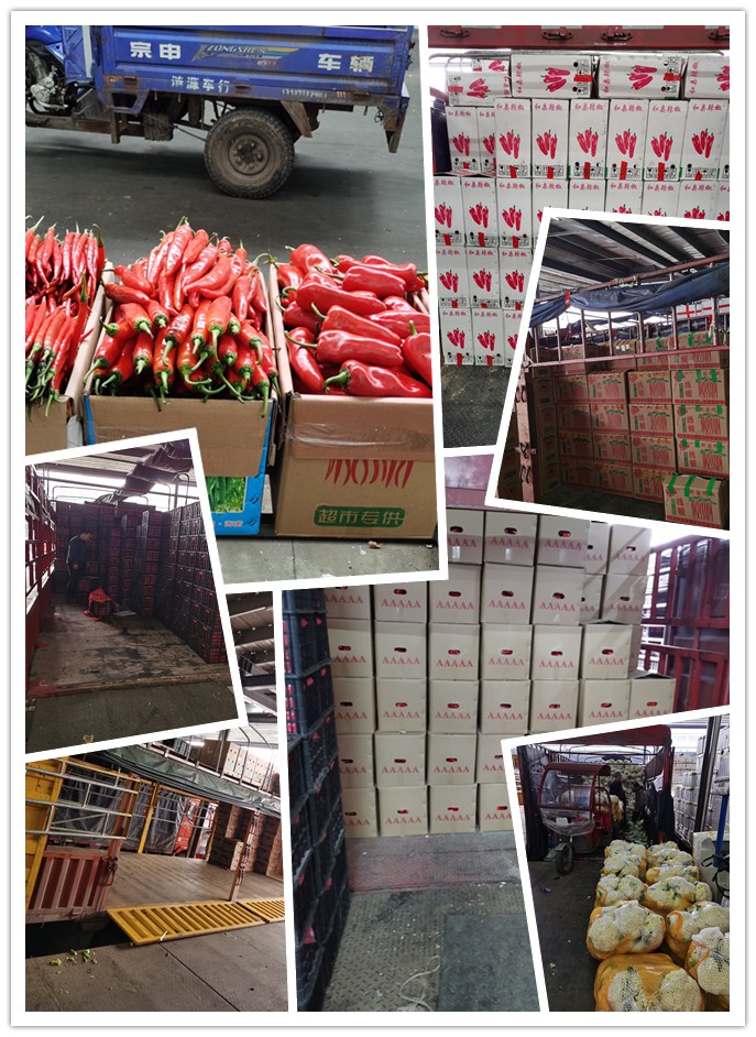 XPJ(中国大陆)有限公司官网