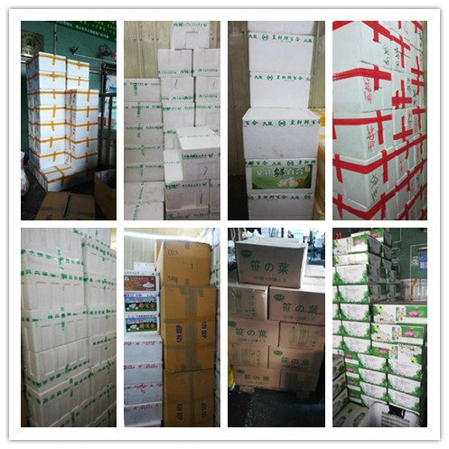 XPJ(中国大陆)有限公司官网