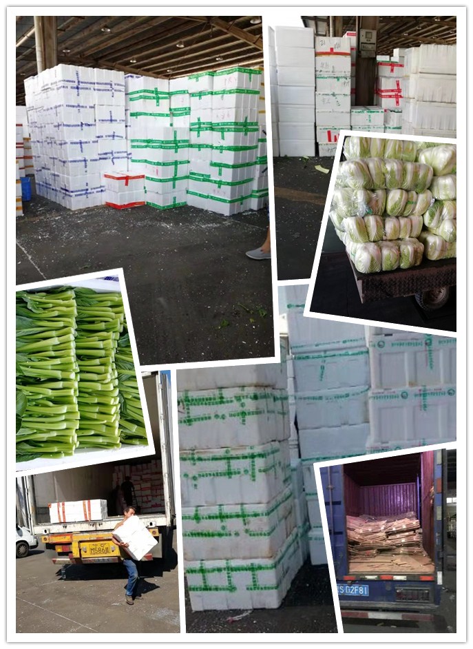 XPJ(中国大陆)有限公司官网