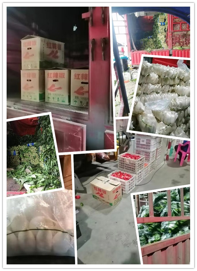 XPJ(中国大陆)有限公司官网