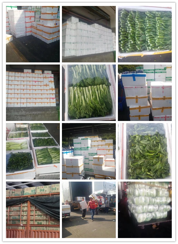 XPJ(中国大陆)有限公司官网