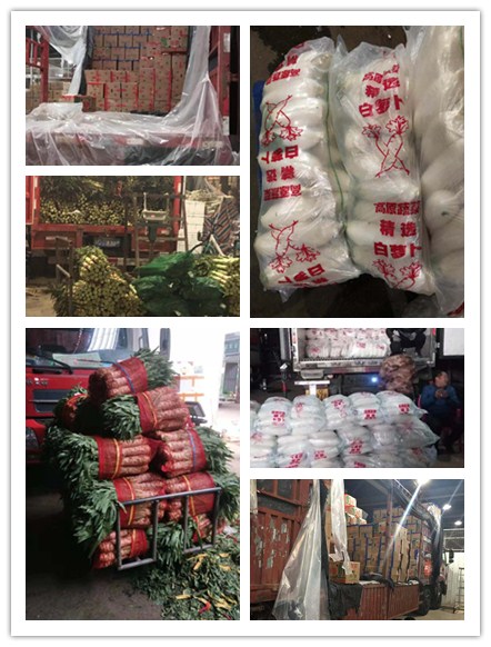 XPJ(中国大陆)有限公司官网