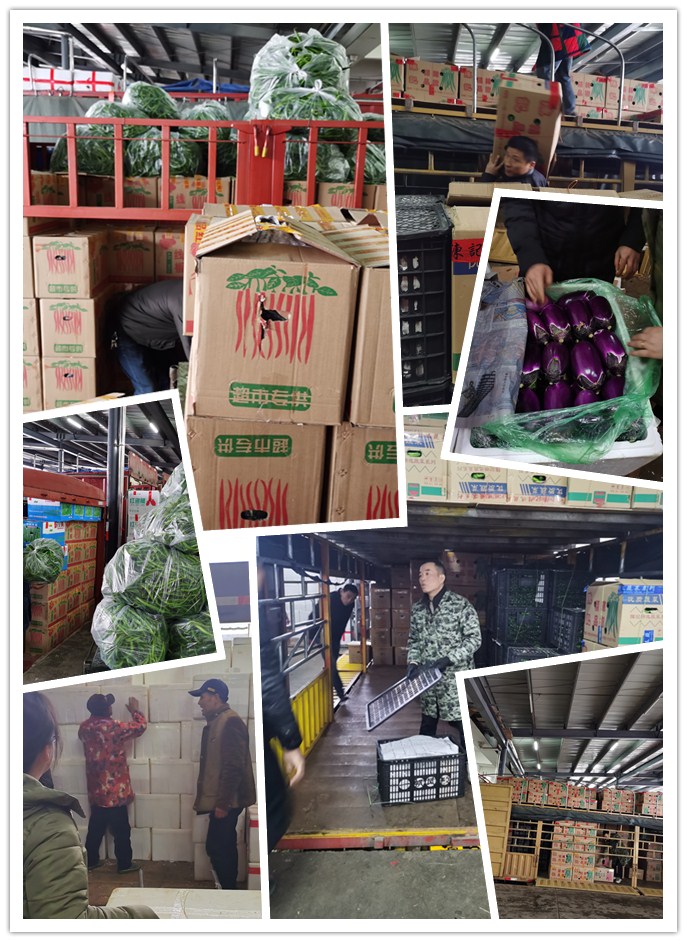 XPJ(中国大陆)有限公司官网