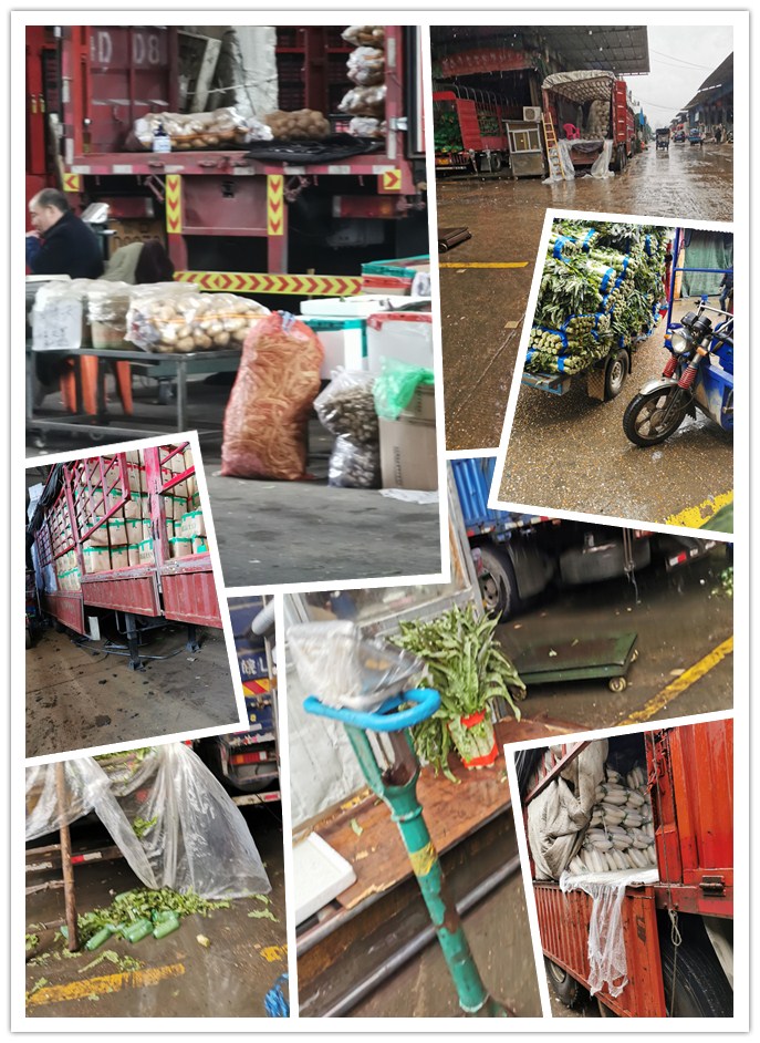 XPJ(中国大陆)有限公司官网