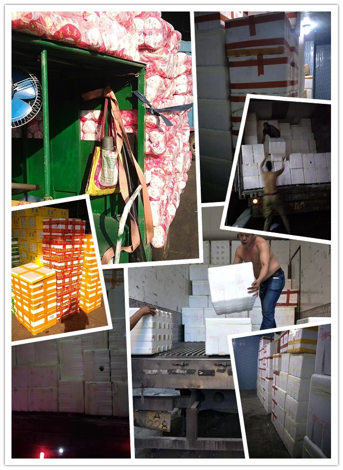 XPJ(中国大陆)有限公司官网